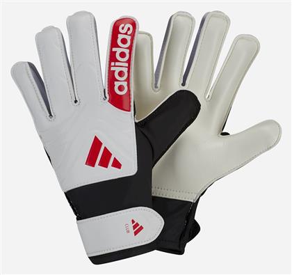 ΓΑΝΤΙΑ ΤΕΡΜΑΤΟΦΥΛΑΚΑ