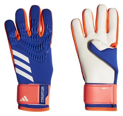 Adidas Predator Gl Trn Γάντια Τερματοφύλακα Ενηλίκων Μπλε από το MybrandShoes