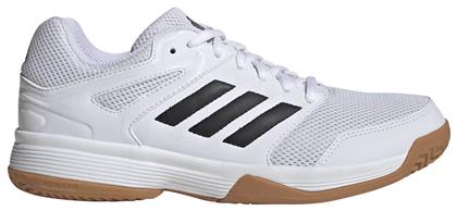 Adidas Speedcourt Γυναικεία Αθλητικά Παπούτσια Βόλεϊ Λευκό