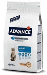 Affinity Advance Adult