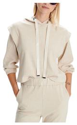 Ale - The Non Usual Casual