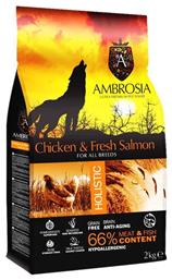 Ambrosia Chicken & Fresh Salmon All Breeds 12kg