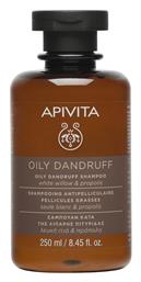 Apivita Oily Dandruff Σαμπουάν κατά της Πιτυρίδας για Λιπαρά Μαλλιά 250ml