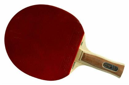 Atemi ProLine 3000 Ρακέτα Ping Pong για Παίκτες Αγωνιστικού Επιπέδου