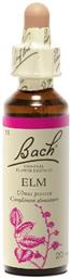 Bach Elm Ανθοΐαμα σε Σταγόνες 20ml