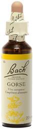 Bach Gorse Ανθοΐαμα σε Σταγόνες 20ml