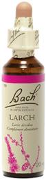 Bach Larch Ανθοΐαμα σε Σταγόνες 20ml από το Pharm24