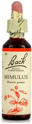 Bach Mimulus Ανθοΐαμα σε Σταγόνες για Χαλάρωση 20ml από το Pharm24