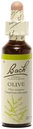 Bach Olive Ανθοΐαμα σε Σταγόνες 20ml από το Pharm24