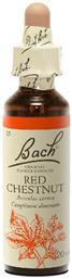 Bach Red Chestnut Ανθοΐαμα σε Σταγόνες για Χαλάρωση 20ml