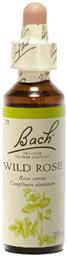 Bach Wild Rose Ανθοΐαμα σε Σταγόνες 20ml