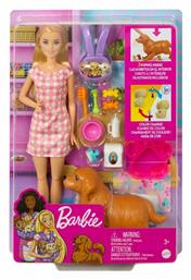 Barbie Νεογέννητα Κουταβάκια για 3+ Ετών από το Plus4u