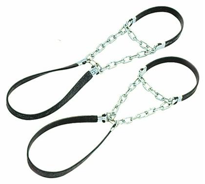 ΕΙΔΗ ΟΡΕΙΒΑΣΙΑΣ ΚΑΙ ΑΝΑΡΡΙΧΗΣΗΣ