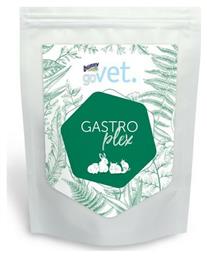 Bunny Nature Τροφή για Κουνέλι με Βιταμίνη C Govet Gastroplex