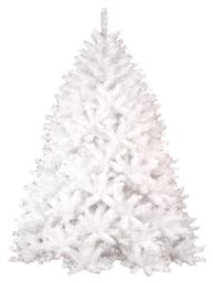 Χριστουγεννιάτικο Δέντρο Super Colorado