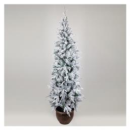 Χιονισμένο Δέντρο Στοκχόλμη