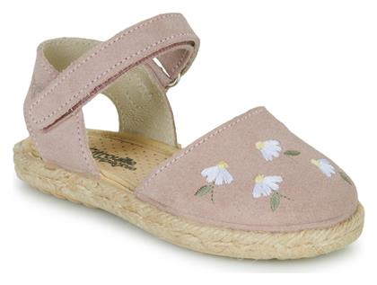 Citrouille et Compagnie