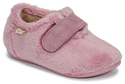 Citrouille et Compagnie