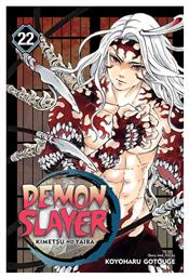 Demon Slayer, Kimetsu no Yaiba, Vol. 22 από το Public