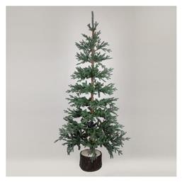 Δέντρο Δανία με Ξύλινο Κορμό