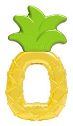 Dr. Brown's Μασητικό Οδοντοφυΐας με Νερό για 3 m+