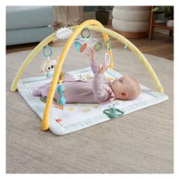 Fisher Price Γυμναστήριο Δραστηριοτήτων Πολύχρωμο για Νεογέννητα από το Moustakas Toys