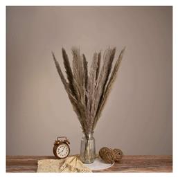 GloboStar Αποξηραμένο Φυτό Pampas grass Καφέ/Γκρι 80cm με LED