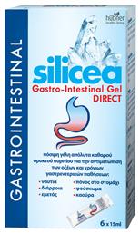 Hubner Silicea Gastro-Intestinal Gel DIRECT 6x15ml