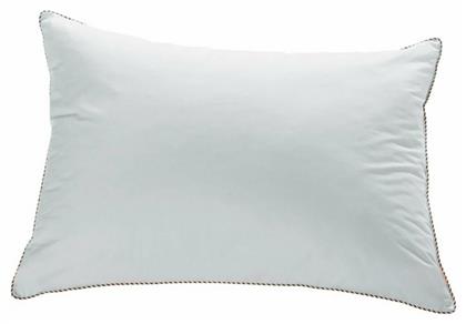 Kentia Hollow Hollowfiber Ανατομικό