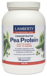 Lamberts Concentrated Pea Protein Χωρίς Γλουτένη & Λακτόζη 750gr από το Pharm24