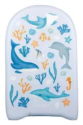 ΣΑΝΙΔΕΣ ΚΟΛΥΜΒΗΣΗΣ