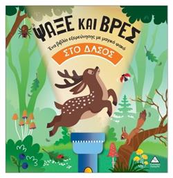 Με Φακό Ψάξε Και Βρες Στο Δάσος