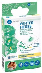 Medisei Winter Herbs Αρωματικό Επίθεμα με Ευκάλυπτο και Μέντα 6τμχ