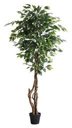 Newplan Τεχνητό Δέντρο Εξωτερικού Χώρου Φίκος Ficus Tree 180cm