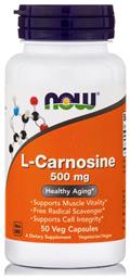 Now Foods L Carnosine 500mg 50 φυτικές κάψουλες από το Pharm24