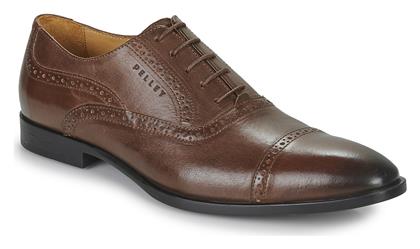 Oxfords Pellet ALEX