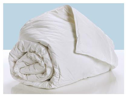 Palamaiki Aloe Vera Combo 2 από το Aithrio