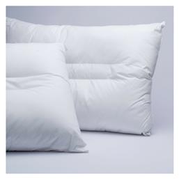 Palamaiki Comfort Aloe Vera Βαμβάκι Ανατομικό Μέτριο 50x70cm