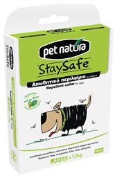 ΚΟΛΑΡΑ ΣΚΥΛΩΝ