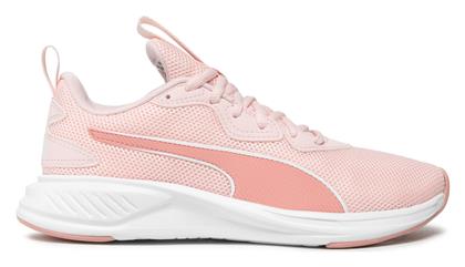 Puma Incinerate