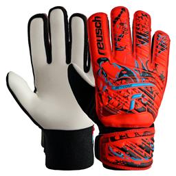 Reusch Attrakt Starter Solid Γάντια Τερματοφύλακα Ενηλίκων Κόκκινα από το MybrandShoes