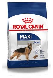 Royal Canin Maxi Adult