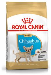 Royal Canin Puppy Chihuahua 1.5kg