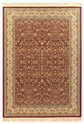 Royal Carpet 8302 Sherazad Χαλί Red