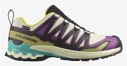 Salomon