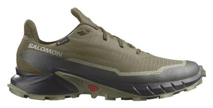 Salomon