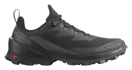 Salomon
