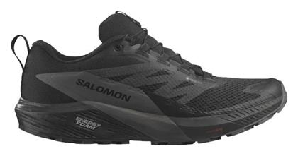Salomon