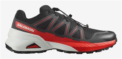 Salomon