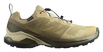 Salomon